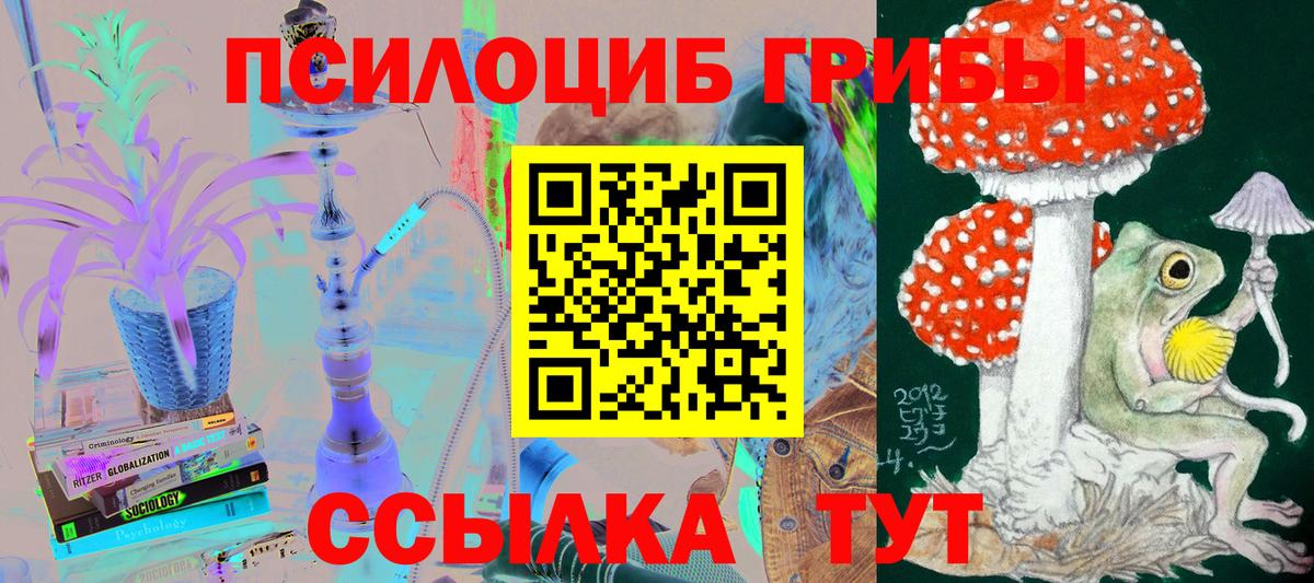 Псилоцибиновые грибы прущие грибы Соликамск