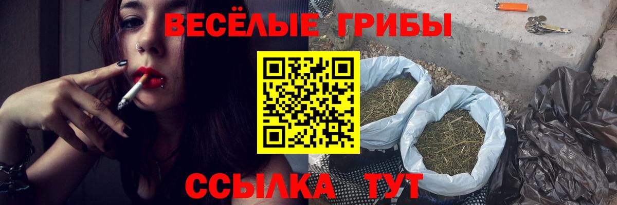 Галлюциногенные грибы ЛСД  Вход с VPN  Псилоцибиновые грибы ЛСД  Соликамск 